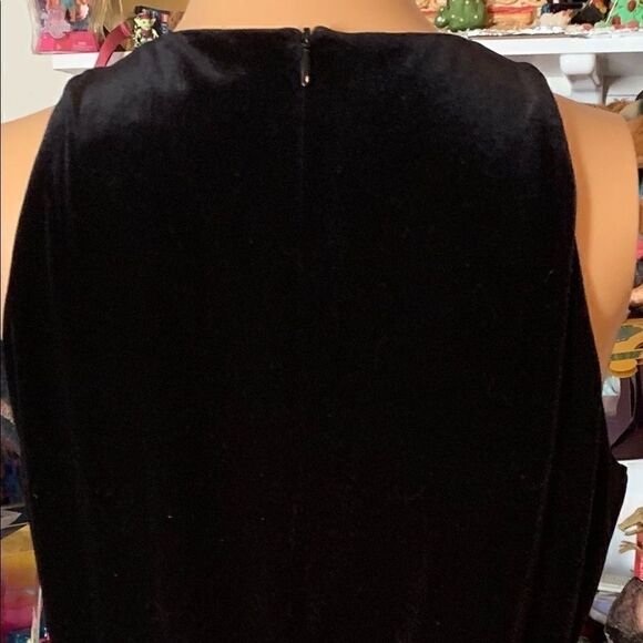 Bianca Nygard Sleeveless Velvet Tank Back Zip Sz 6 - Picture 2 of 9